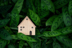 i 5 elementi per scegliere una casa green